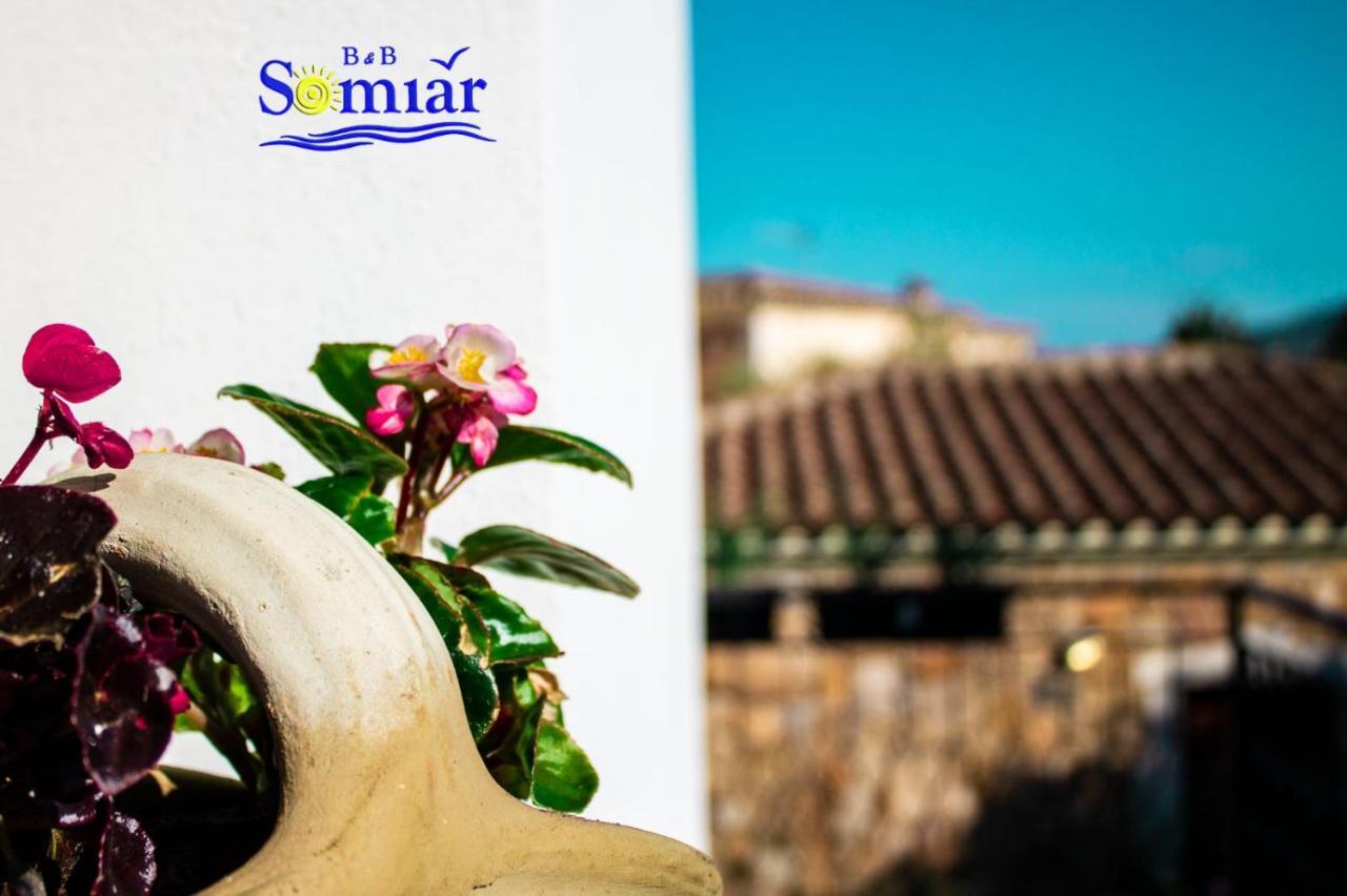 B&B Somiar San Teodoro  Bagian luar foto